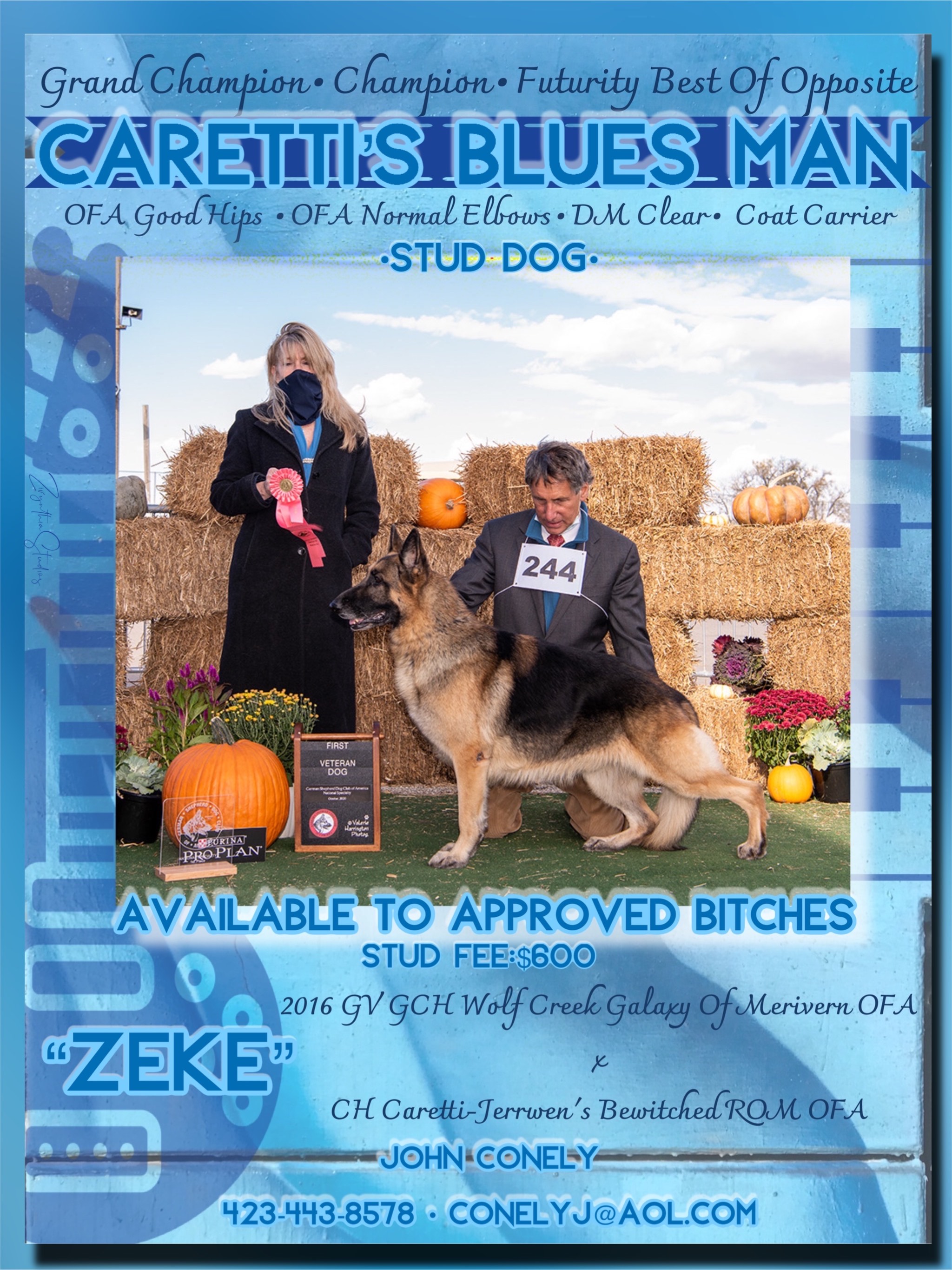 information on a german shepard dog called Zeke